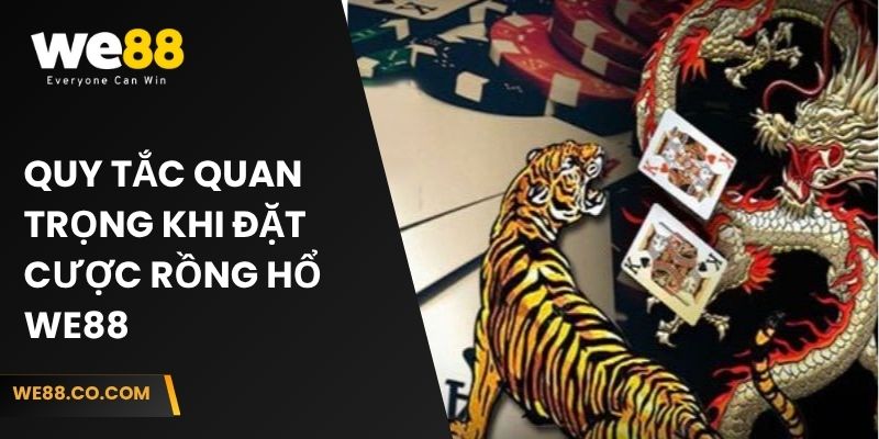 Quy tắc quan trọng khi đặt cược Rồng Hổ We88